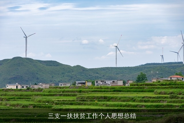 三支一扶扶贫工作个人思想总结