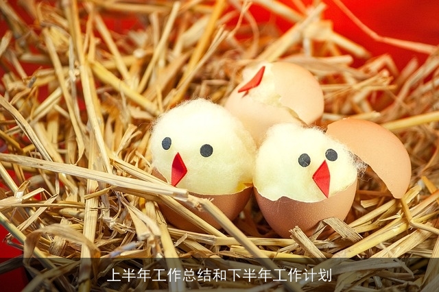 上半年工作总结和下半年工作计划