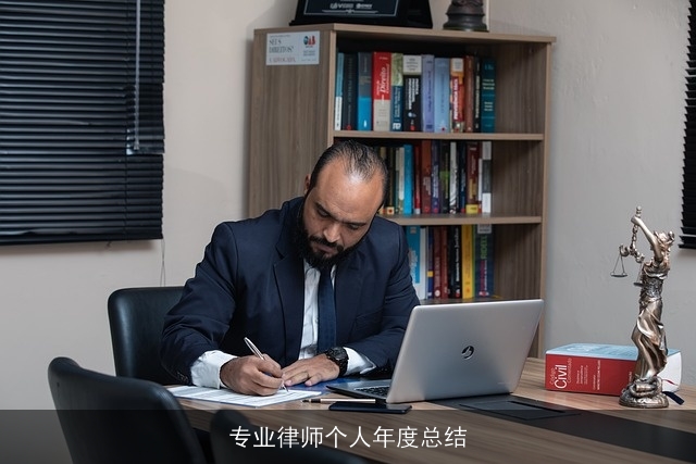 专业律师个人年度总结