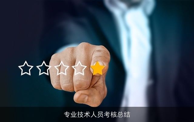 专业技术人员考核总结