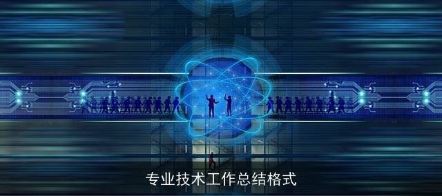 专业技术工作总结格式