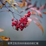 世界卫生日2025活动总结汇报