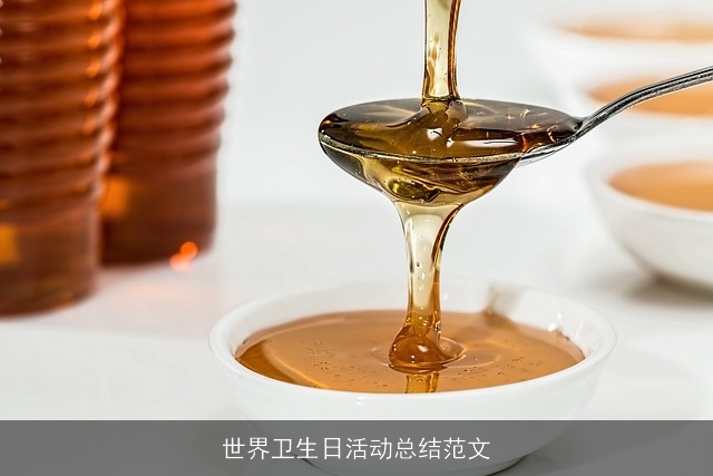 世界卫生日活动总结范文