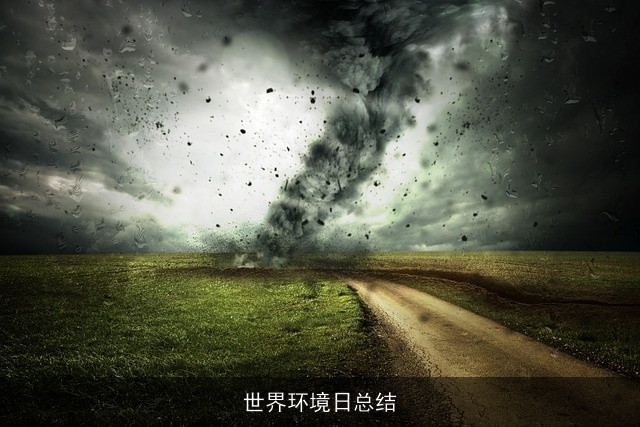 世界环境日总结