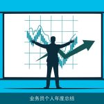 业务员个人年度总结