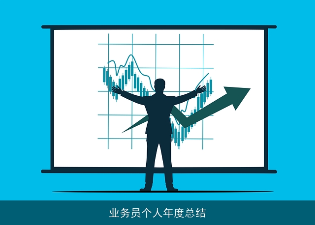 业务员个人年度总结