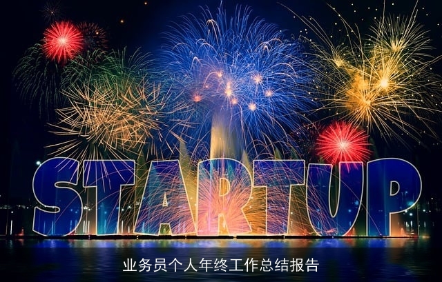 业务员个人年终工作总结报告