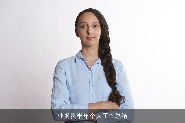 业务员半年个人工作总结