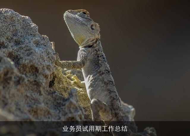 业务员试用期工作总结