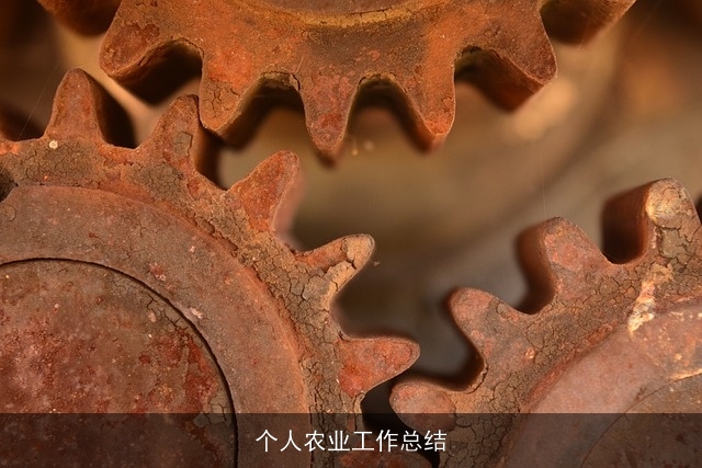 个人农业工作总结