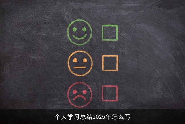 个人学习总结2025年怎么写