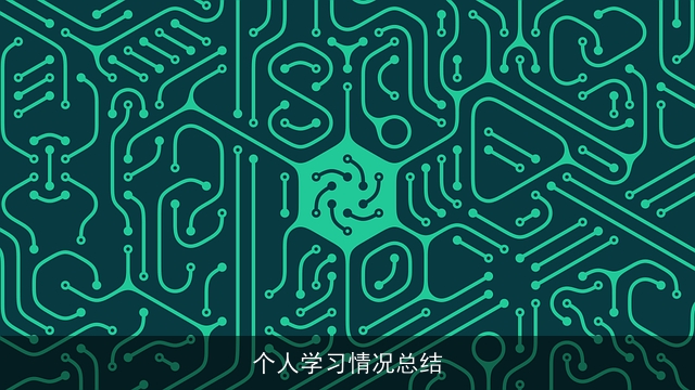 个人学习情况总结