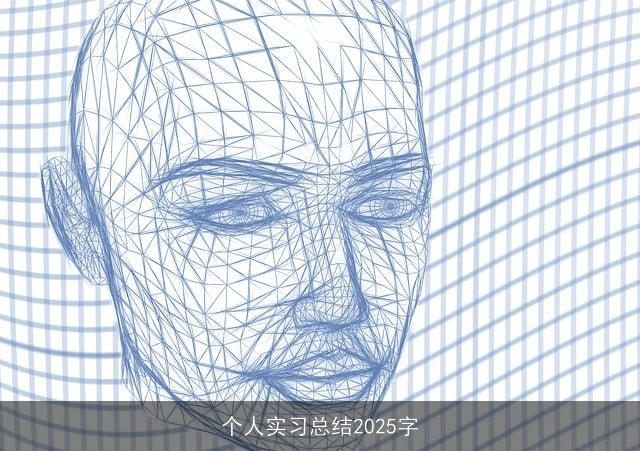 个人实习总结2025字