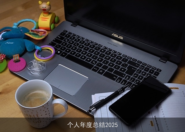 个人年度总结2025