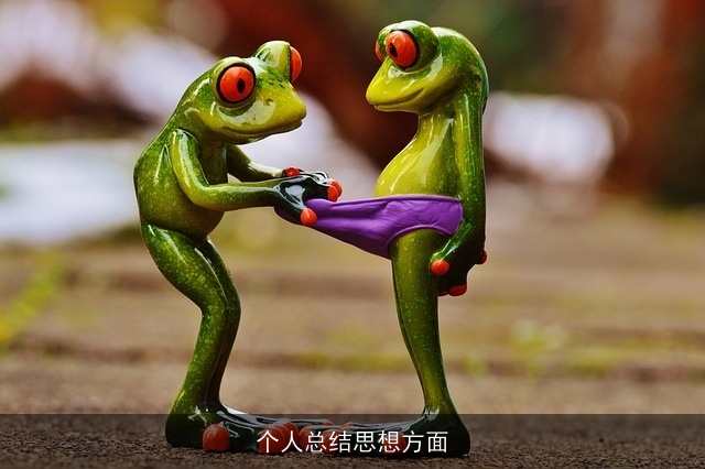 个人总结思想方面