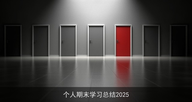 个人期末学习总结2025