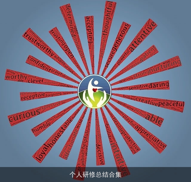 个人研修总结合集