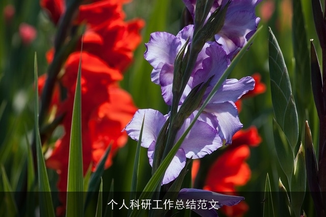 个人科研工作总结范文