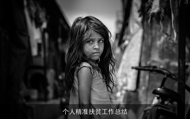 个人精准扶贫工作总结