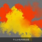 个人计生年终总结