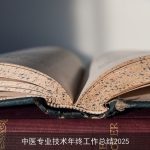 中医专业技术年终工作总结2025