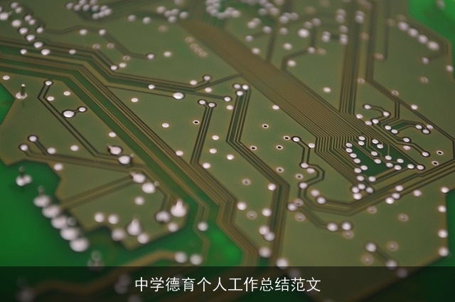 中学德育个人工作总结范文