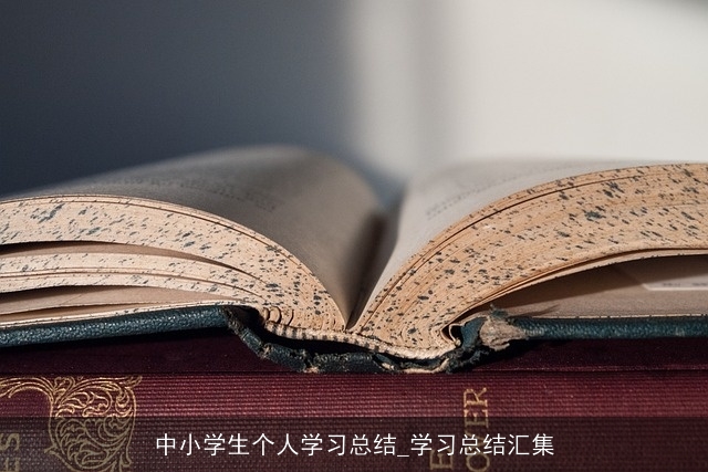 中小学生个人学习总结_学习总结汇集