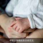 中班上学期班务总结范文