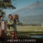 乡镇公务员个人工作总结范文