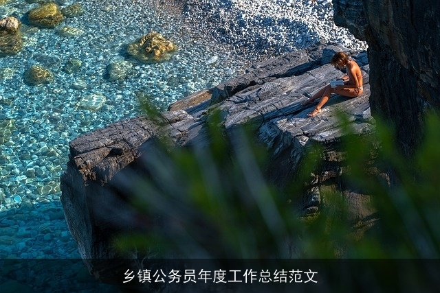 乡镇公务员年度工作总结范文