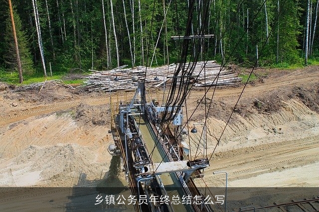 乡镇公务员年终总结怎么写