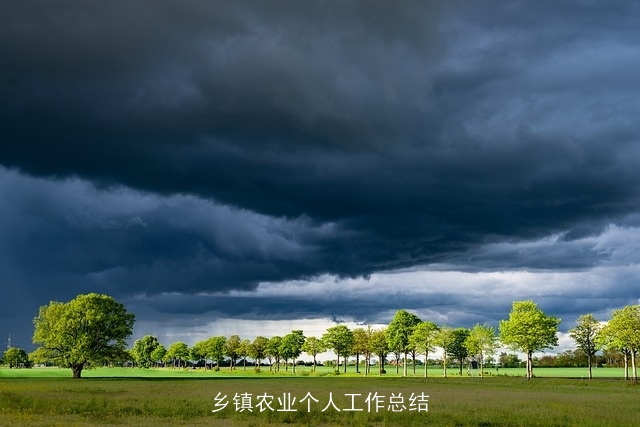 乡镇农业个人工作总结