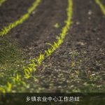乡镇农业中心工作总结