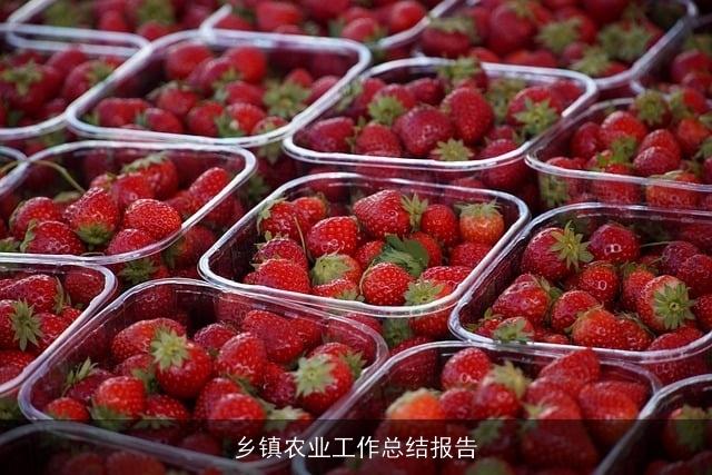 乡镇农业工作总结报告