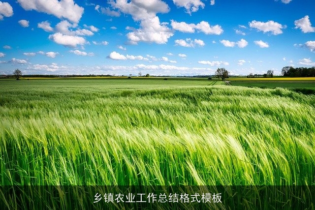 乡镇农业工作总结格式模板