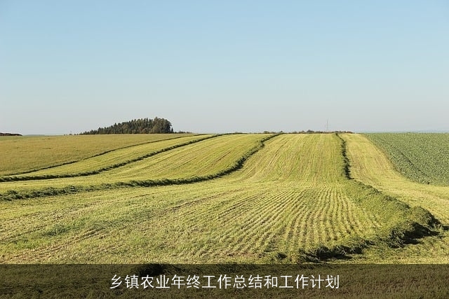 乡镇农业年终工作总结和工作计划