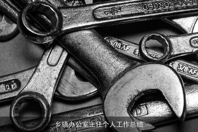 乡镇办公室主任个人工作总结