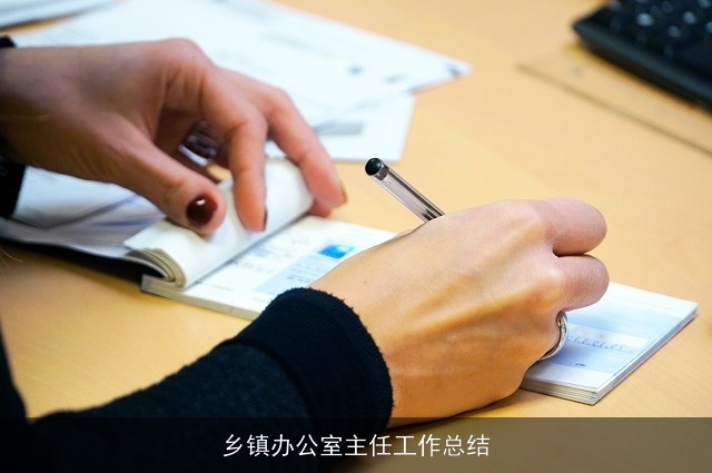 乡镇办公室主任工作总结