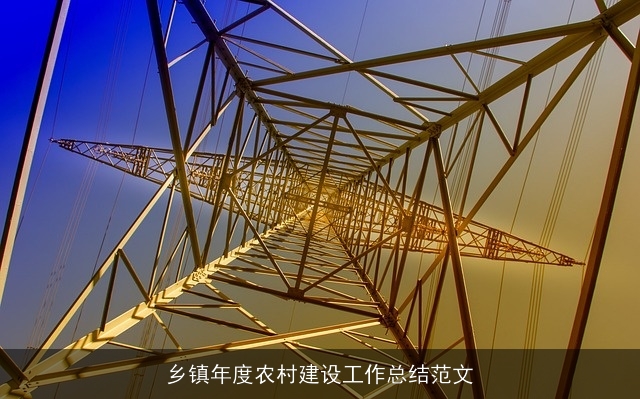 乡镇年度农村建设工作总结范文