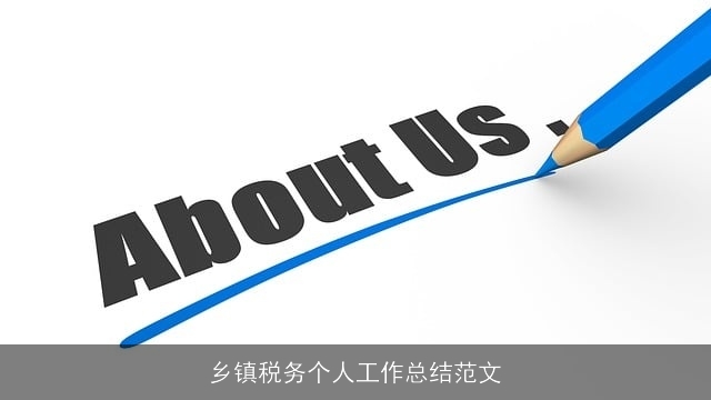 乡镇税务个人工作总结范文