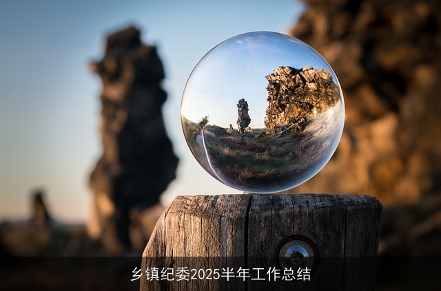 乡镇纪委2025半年工作总结