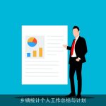 乡镇统计个人工作总结与计划