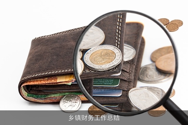 乡镇财务工作总结