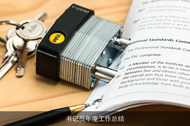 书记员年度工作总结