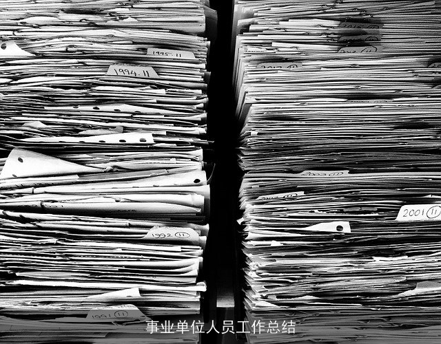 事业单位人员工作总结