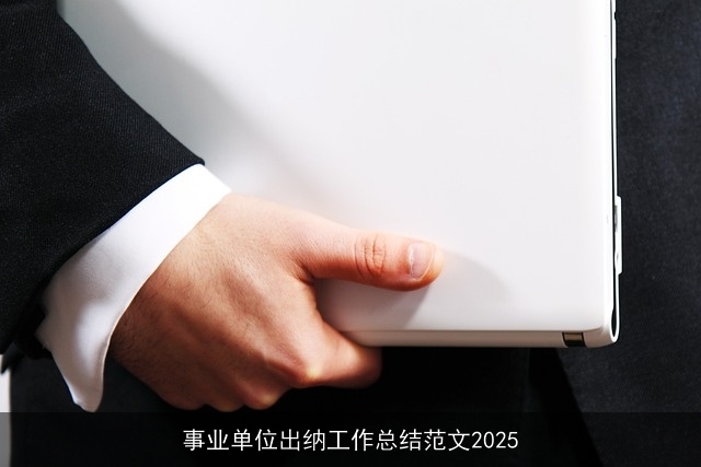 事业单位出纳工作总结范文2025