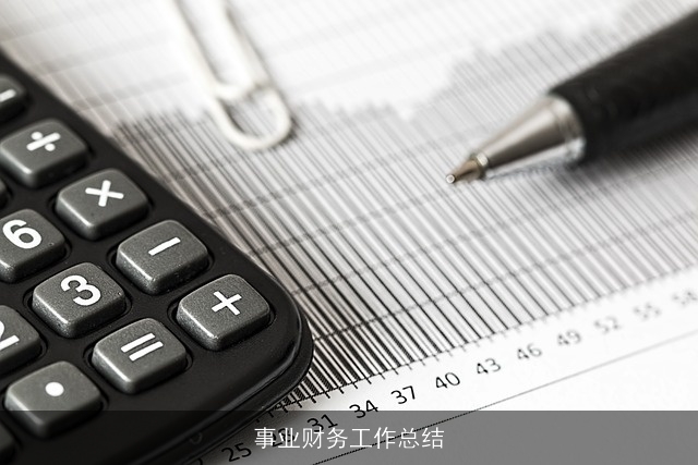 事业财务工作总结