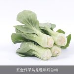 五金件采购经理年终总结