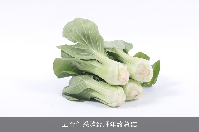 五金件采购经理年终总结