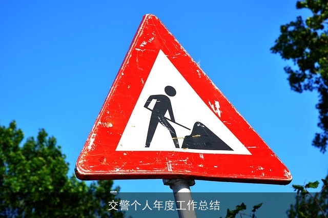 交警个人年度工作总结